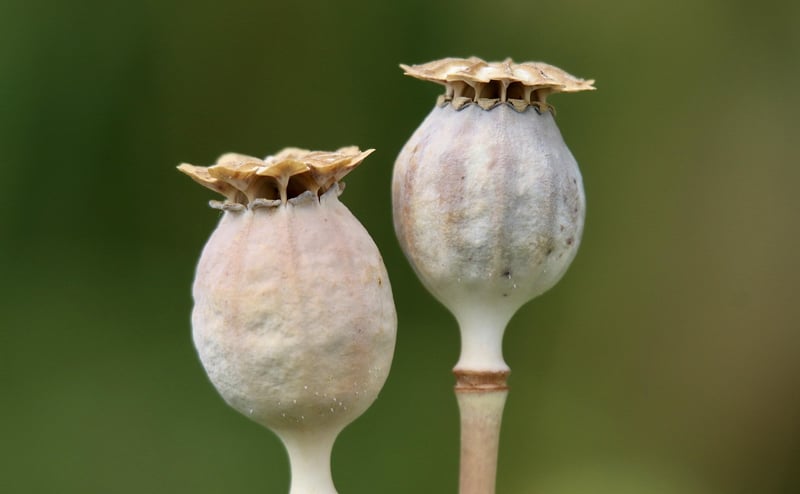 Chronoportation Pods